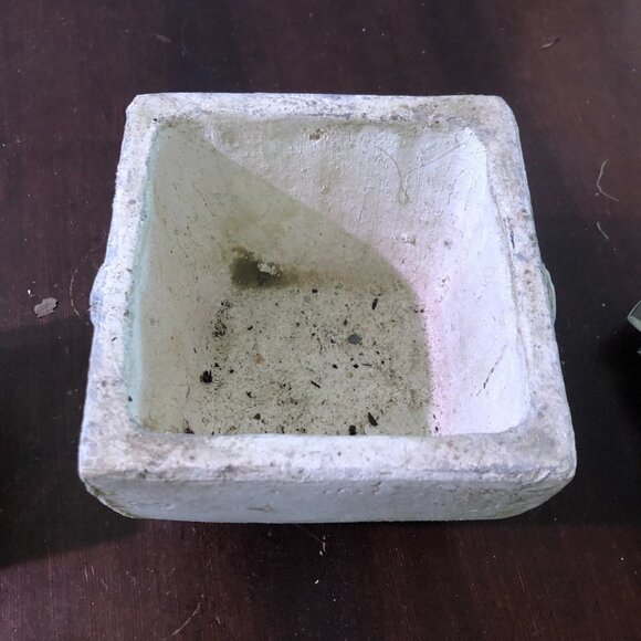 - Angel Plant pot. (2pots) - Picture 3 of 6